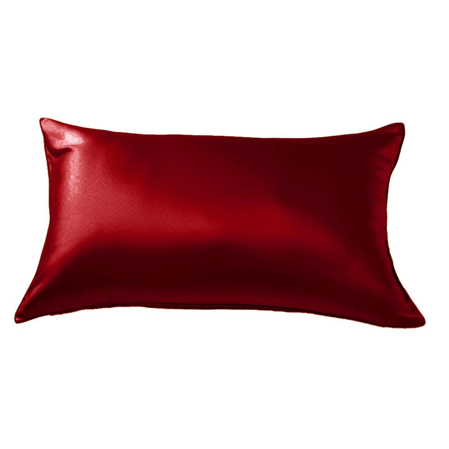 Mulberry Silk On Both Sides 19mm Silk Pillowcase for Hair and Skin Hidden Zipper